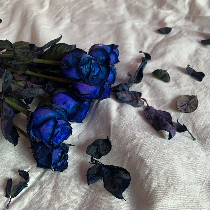 just night not energy.