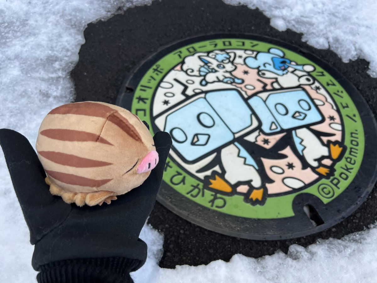 2025.1
雪に隠されていなかったことに感謝
 #ポケふた