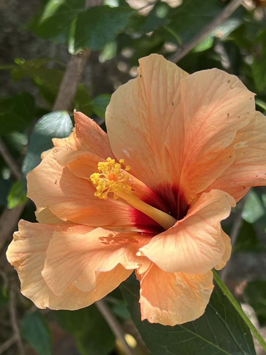 Vít Olmr tweet media