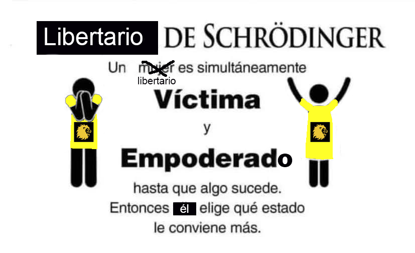 Rodrigo Koi tweet media