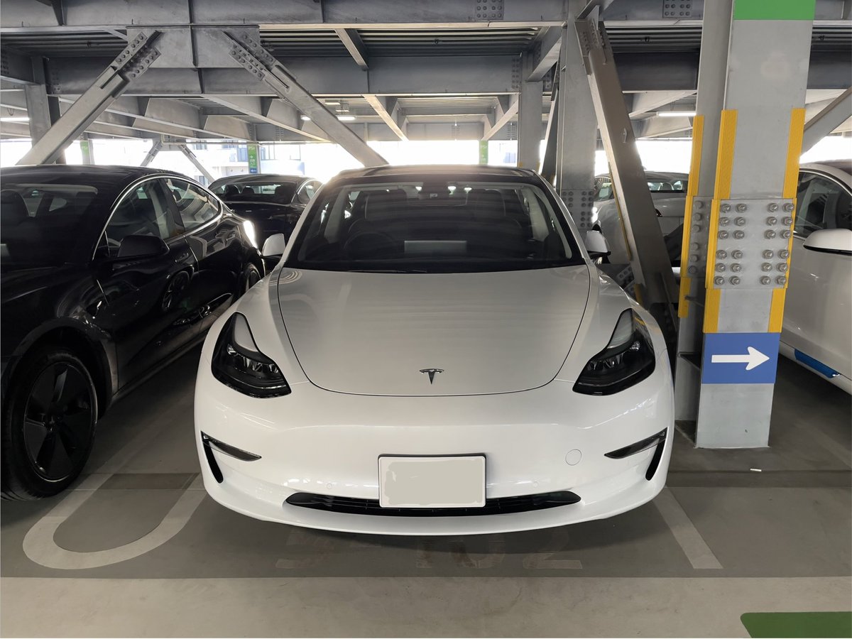 MJ🦔モデルYジュニパー tweet media