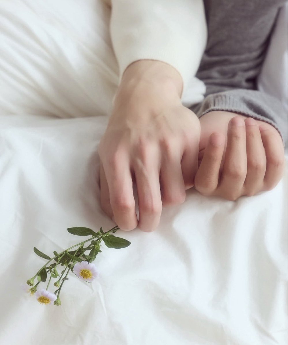 𝑳𝒊𝒐𝒏&𝑻𝒖𝒓𝒕𝒍𝒆ˢᵏ🦁🐢✍️♥️ tweet media