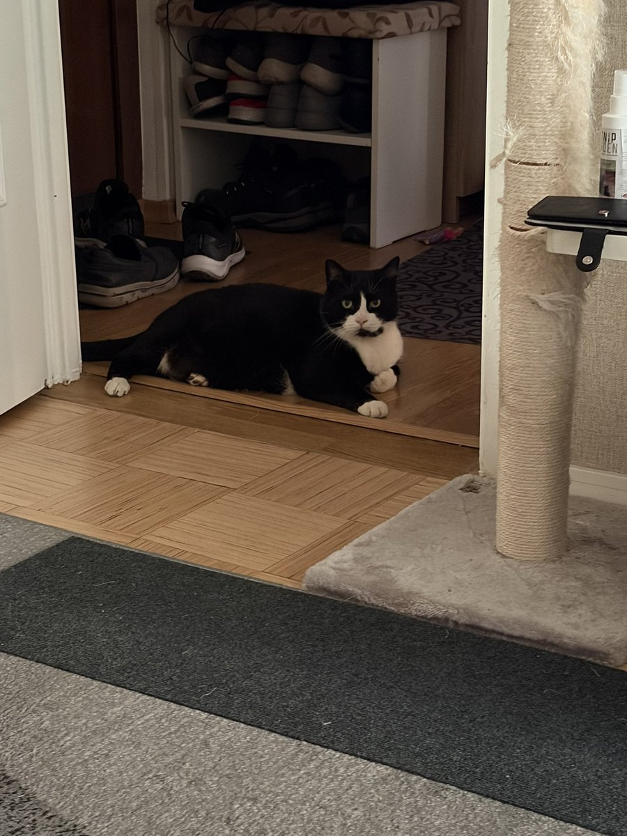 Mukavaa iltaa kaikille