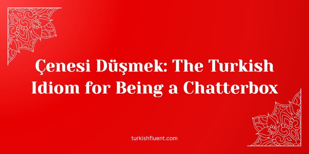 TurkishFluent tweet picture