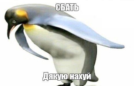 аперольга анатоліївна tweet media