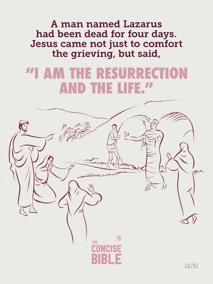 concisebible_en's tweet photo. Read Chapter 7, Section 20: “Jesus Raises Lazarus from the Dead” to discover how Lazarus was raised to life, and what this reveals about Jesus as the giver of life.
https://t.co/zIZhyJIOfv

#concisebible #holybible #readoftheweek #lazarus #raisedfromthedead https://t.co/8xb8GDfjIS