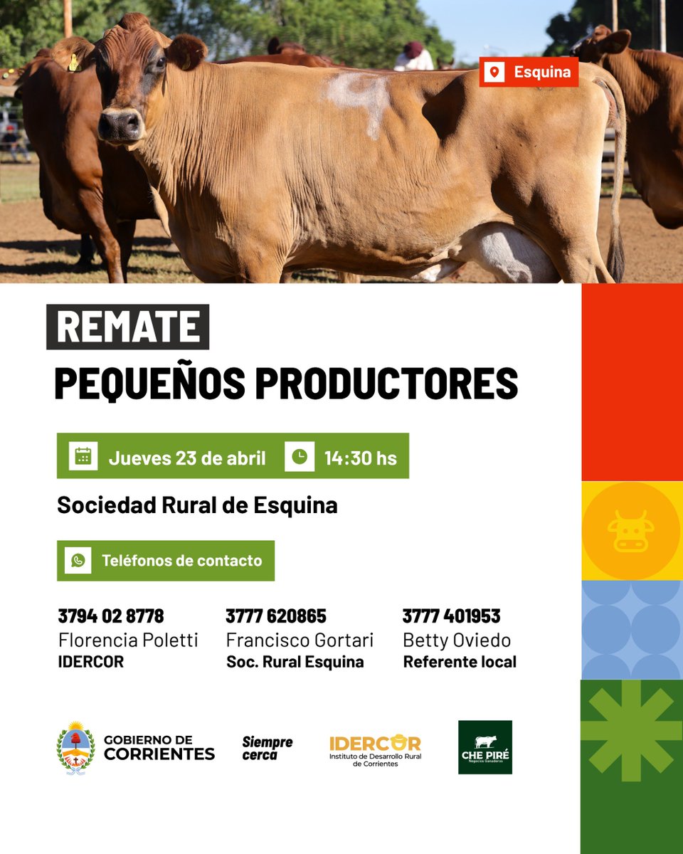 idercorrientes's tweet photo. AGENDA SEMANAL DE ACTIVIDADES. Seguimos acompañando a los productores con remates, capacitaciones y espacios de encuentro para fortalecer el trabajo en el campo. Más trabajo, herramientas y oportunidades para el desarrollo rural. https://t.co/ts6JilBopI