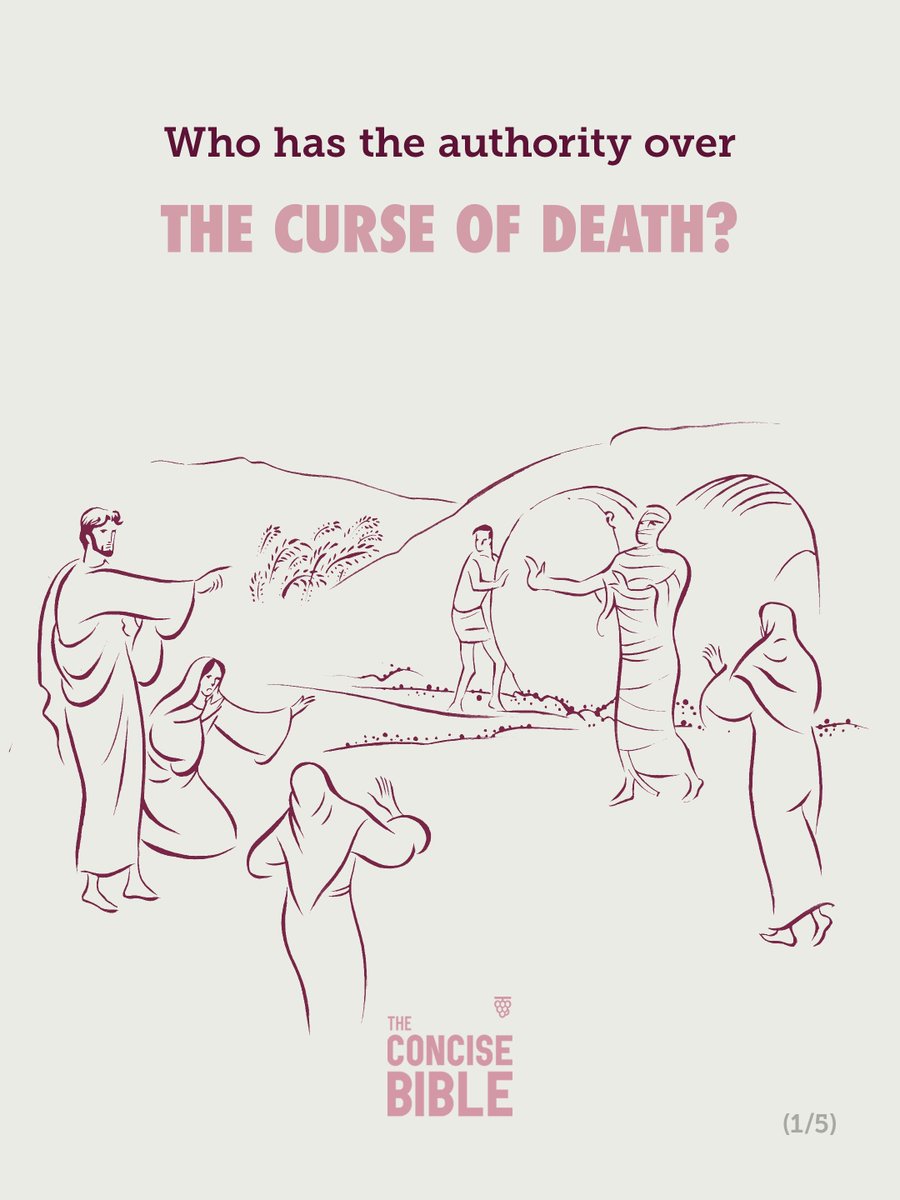 concisebible_en's tweet photo. Read Chapter 7, Section 20: “Jesus Raises Lazarus from the Dead” to discover how Lazarus was raised to life, and what this reveals about Jesus as the giver of life.
https://t.co/zIZhyJIOfv

#concisebible #holybible #readoftheweek #lazarus #raisedfromthedead https://t.co/8xb8GDfjIS