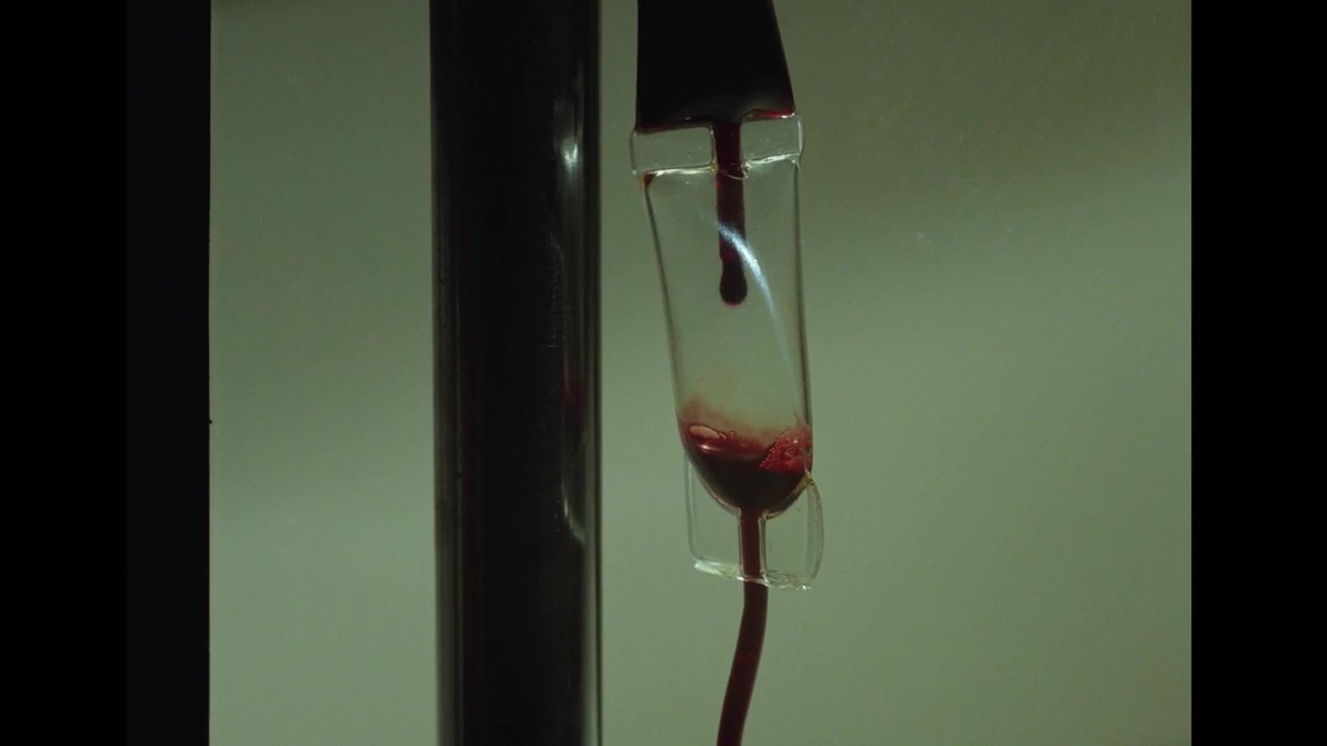 Pura sangre (Luis Ospina, 1982)