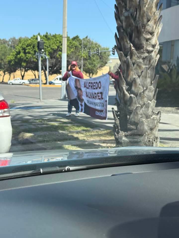 Berenice tweet media