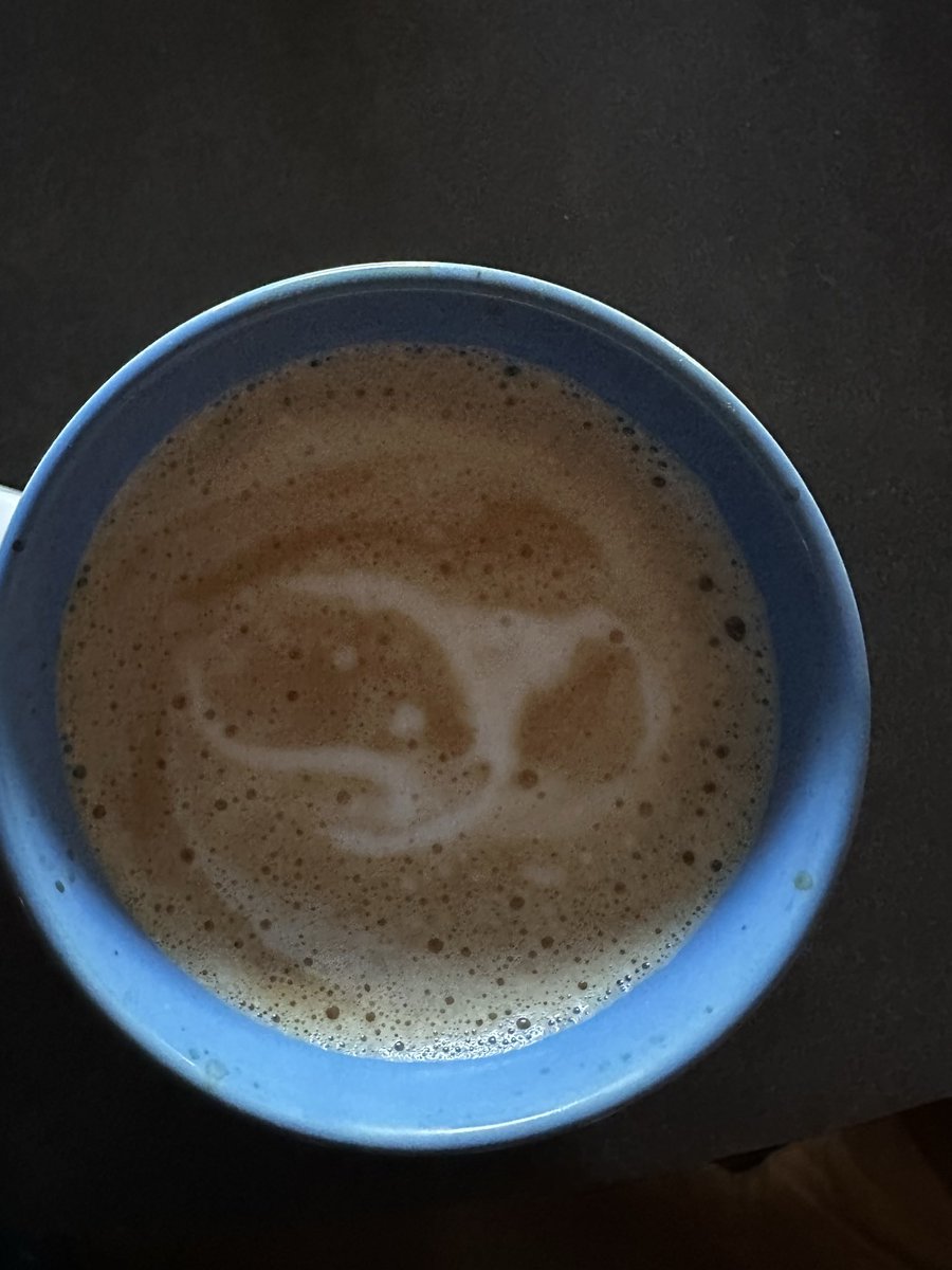 rabedirk tweet media