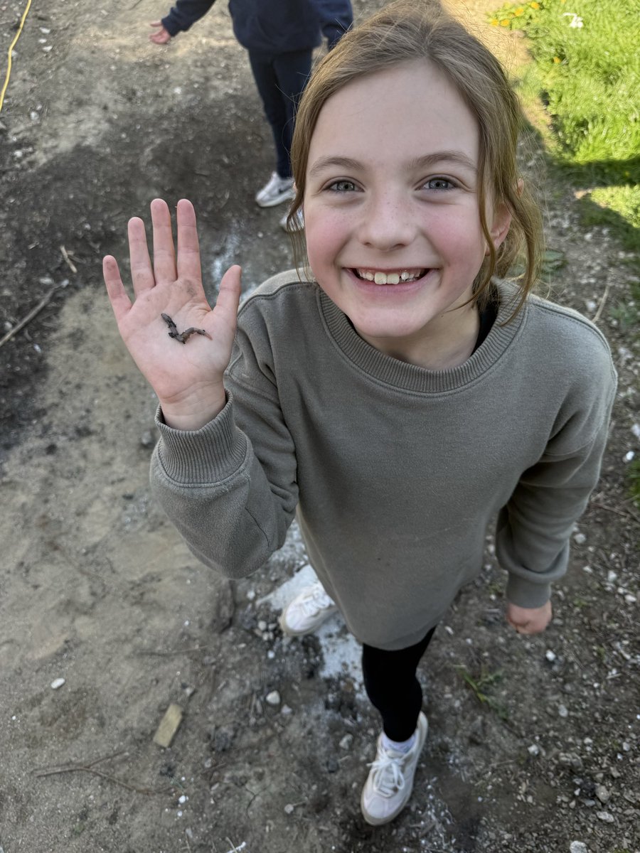 kredmon1401's tweet image. Spring finds during renovation. #earthworm