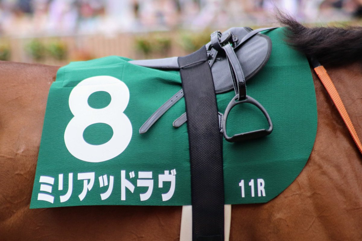 本日は浅草寺での物故馬法要へ。
一頭一頭、戒名（馬名）が読み上げられ、ミリアッドラヴをはじめ昨年この世を去った馬たちにお焼香して手を合わせてきました。