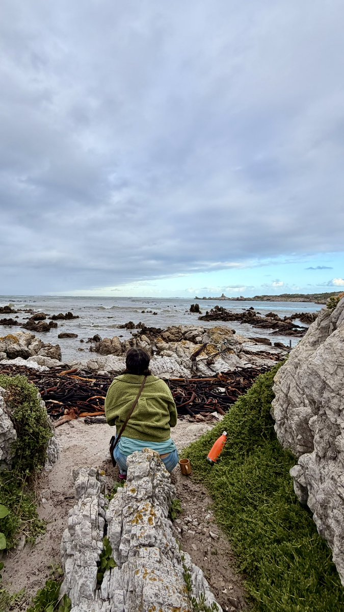 Waiting for penguins to come home.