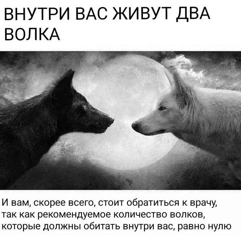 ивус tweet media