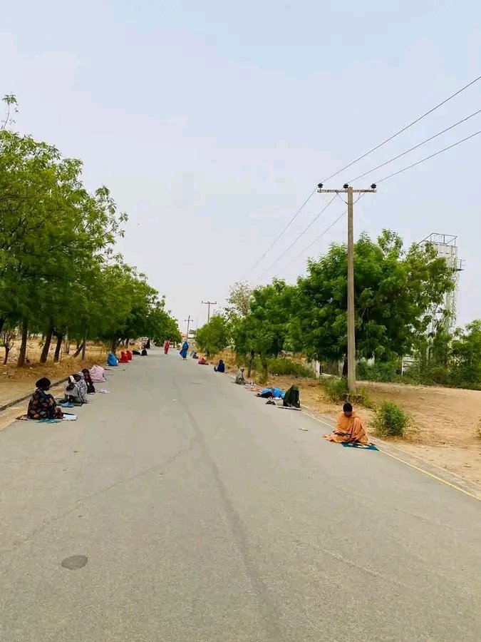 A_i Shettima ✍️ tweet media