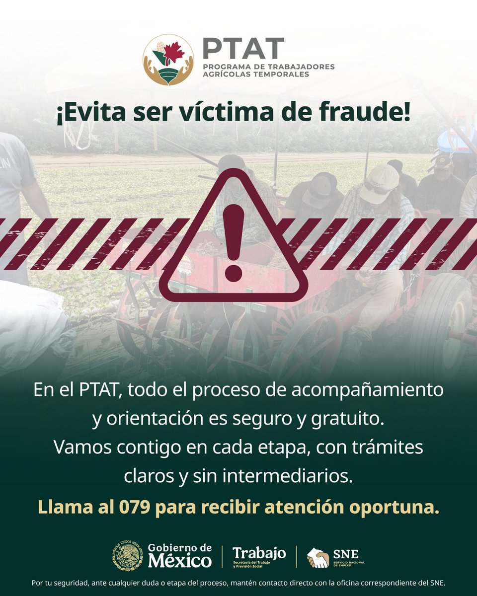 SNE Tamaulipas tweet media
