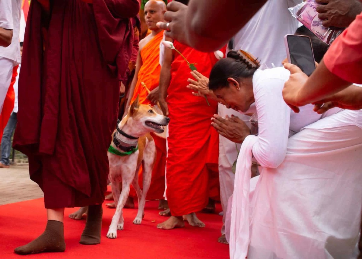 Prabodth Official tweet media