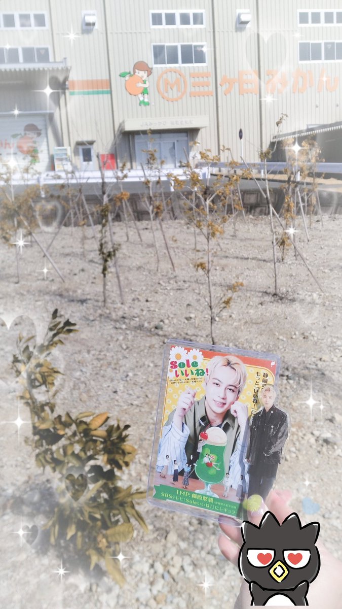 さぁ💍*。💜 tweet media