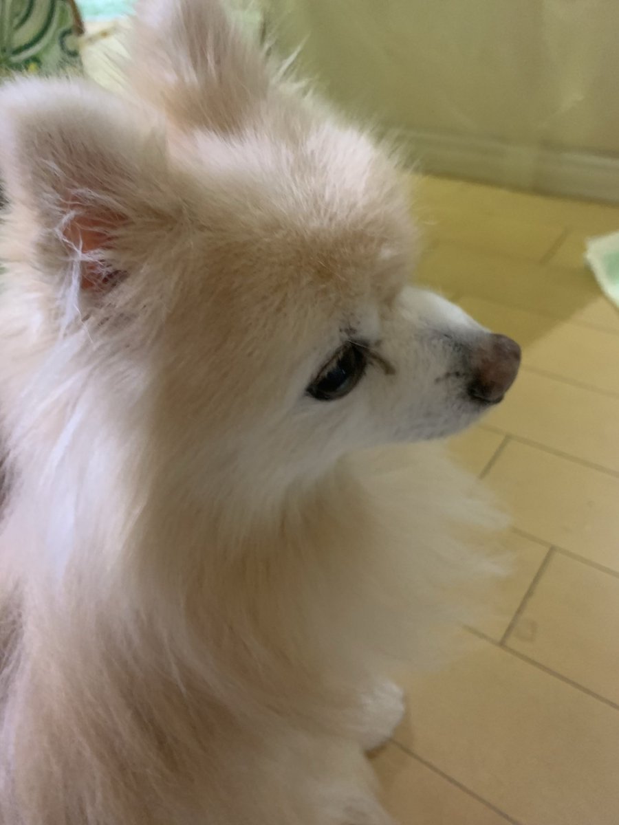 DAISUKE@KALEST（川原大輔） tweet media