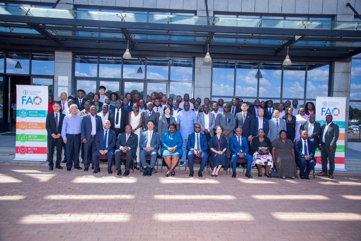 FAOMalawi's tweet photo. Happening now! 🇲🇼 FAO &amp; Malawi kick off the regional inception of the FAO-China project under the OCOP initiative. 
80+ experts are in Lilongwe to promote special agricultural products. 🍌🌱
 #OCOP #SouthSouthCooperation https://t.co/iRDbiBF8lH