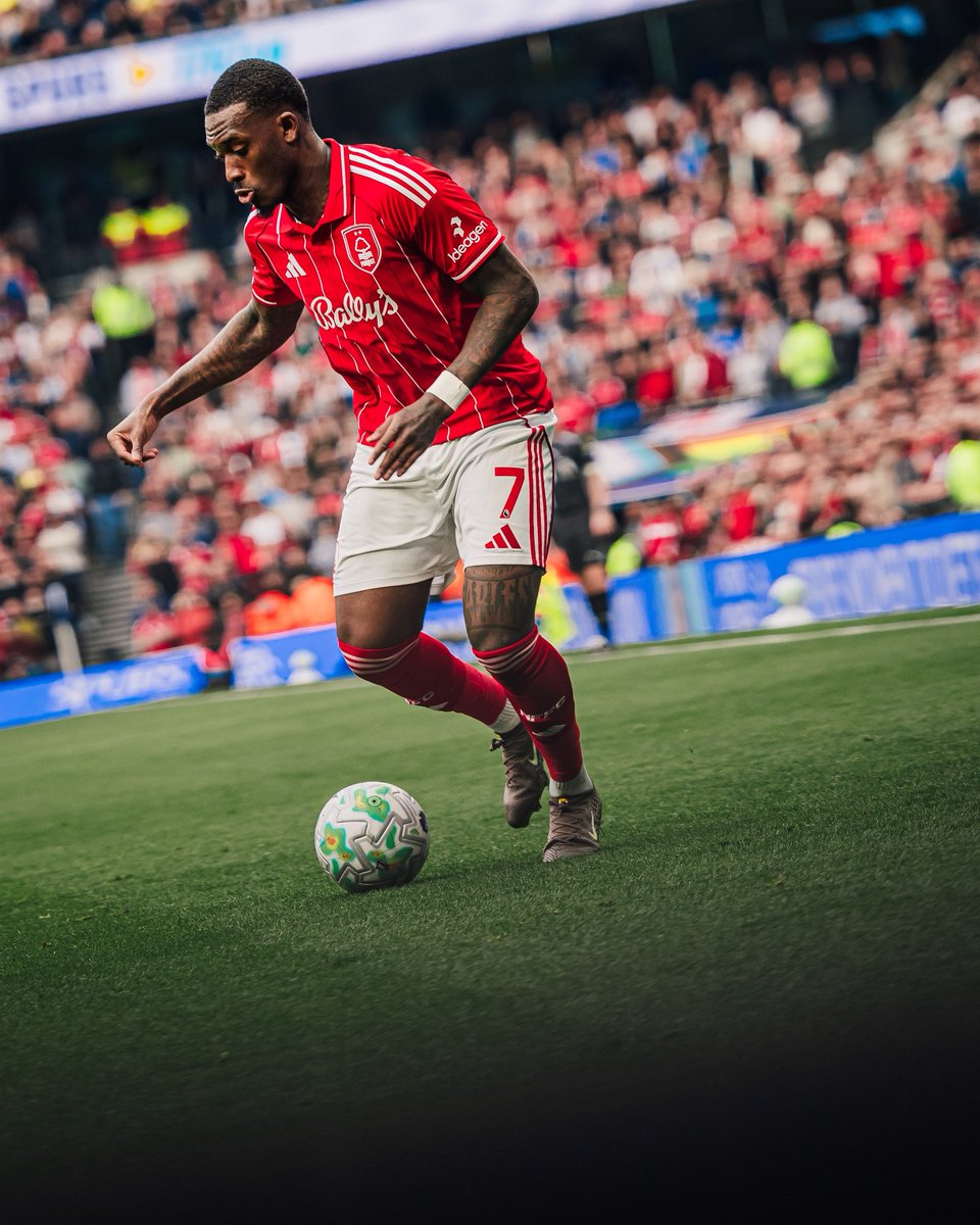 tim stark tweet media