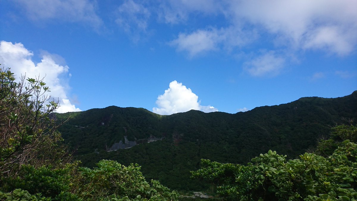 Бедный взрослый ребенок tweet media