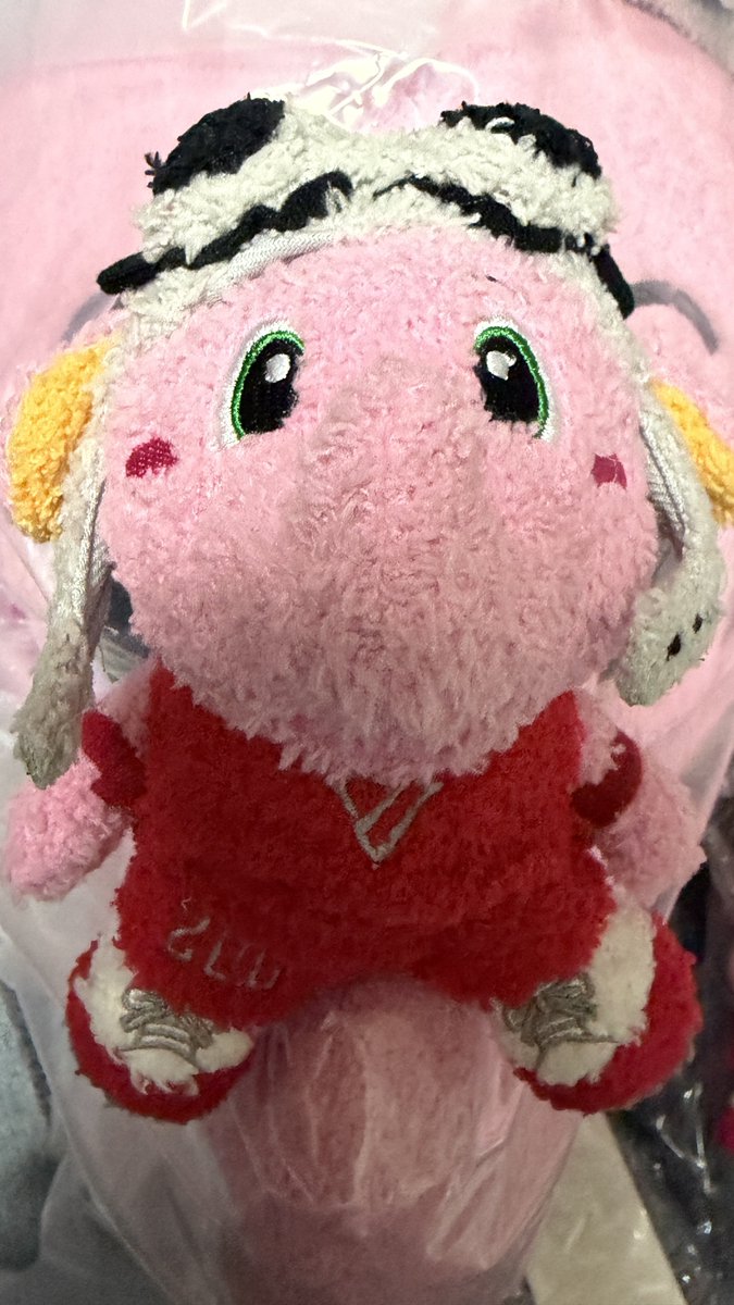 帰ってきておおきな段ボール開封。
ぺちゃんこを想像していたので、細長いジャンボくんに笑ってしまいました😂笑
圧縮微妙にされていないのかな🤔
さっそくおハナの上にのるおチビちゃん🤭