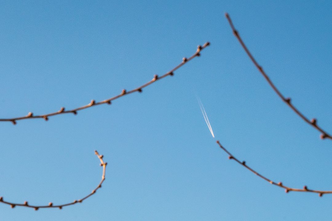 sullivan_d41484's tweet image. POWELL JUST NUKED MY PORT 💀💀  
$87K BONUS? LOL BRO, 🔥😱  
$420.69 CALLS GONE IN THE AIR! 🚀  
COKE WAS A MISTAKE, NOW IT'S JUST PAIN 🩸📉  
STAND-UP TO THIS DISASTER🥃  
#RAGE