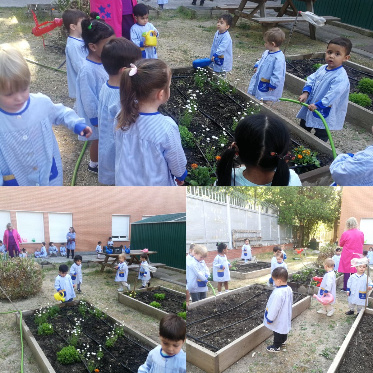 Colegio Diocesano MªInmaculada-Mogambo tweet media