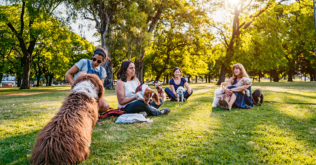 PetCancerFdn's tweet photo. FOSTERING PET-FRIENDLY COMMUNITIES: Creating a Safe and Happy Space for Everyone

Our blog's feature article today explores how neighborhoods, towns, and cities are integrating pets into spaces previously reserved for humans.  

Article link in the comment below 👇👇 https://t.co/anrKvcEkdr