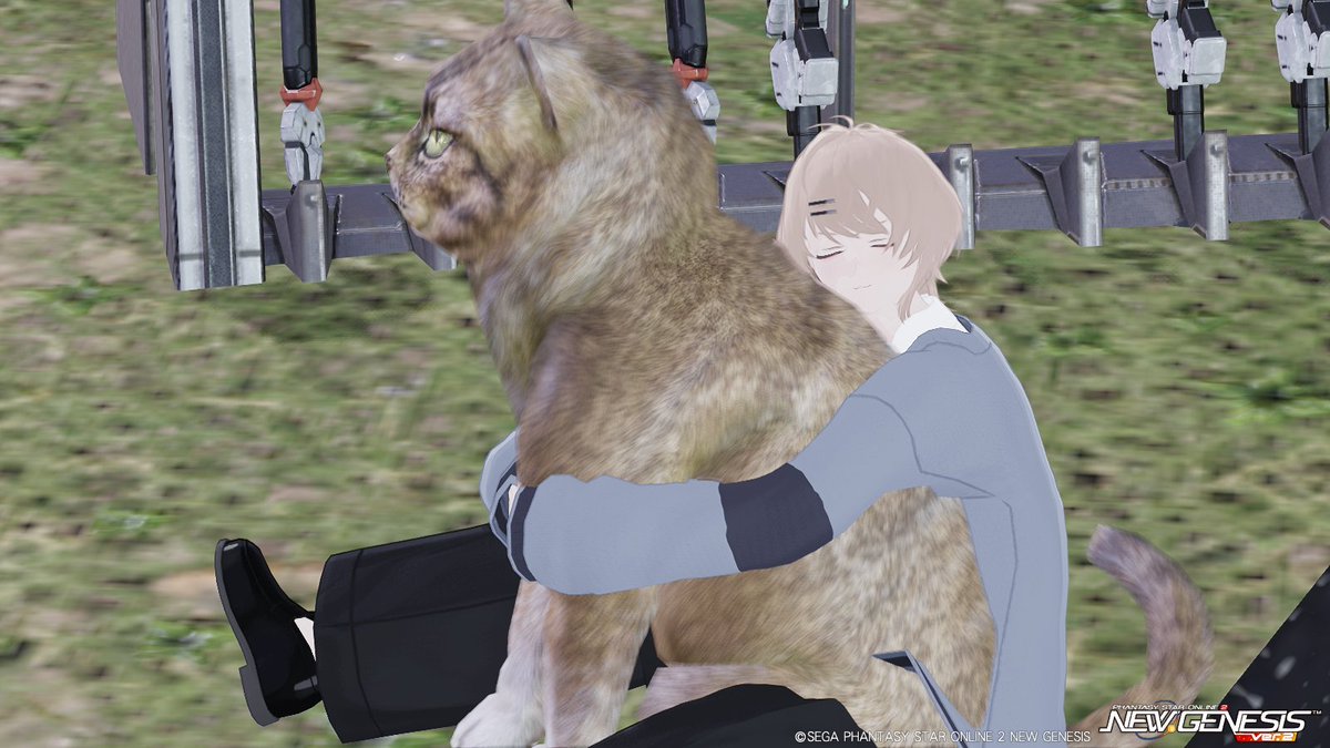 おぱこ＠ship1＆7 tweet media