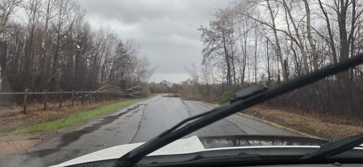 GabezWX's tweet photo. @NickKrasz_Wx Well that is interesting. This picture is taken just on the left side outside of the satellite imagery you just shown. The tree falling here are converging toward the east. https://t.co/5R6DN7H5au