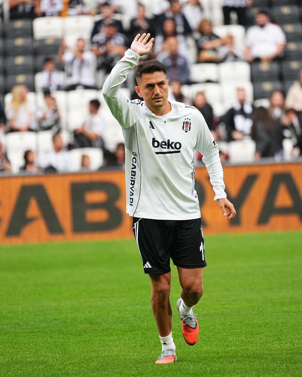 Ağaçlı Yol tweet media