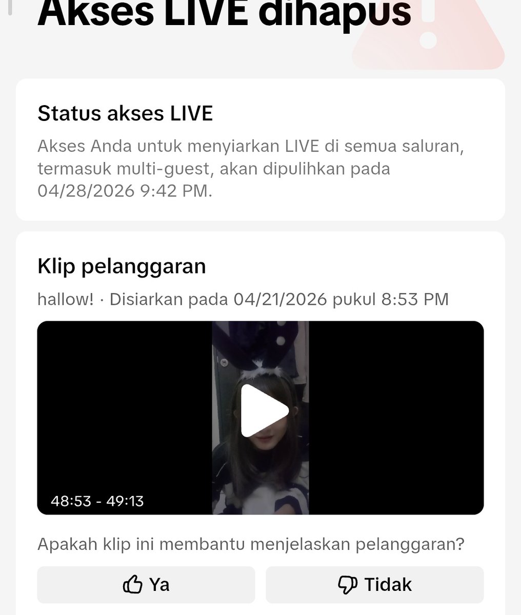 fellyys tweet media