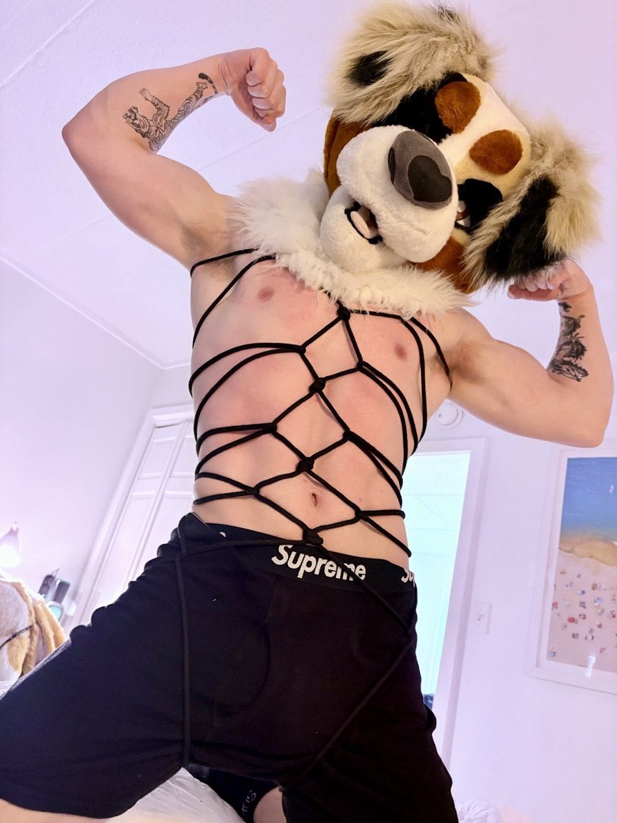 Koda’s EVIL Account 🔞 tweet media