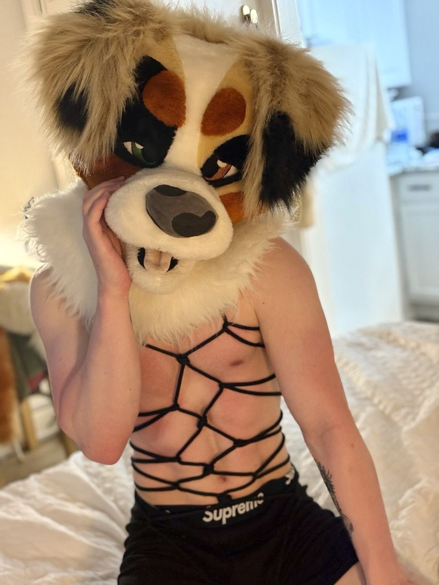 Koda’s EVIL Account 🔞 tweet media
