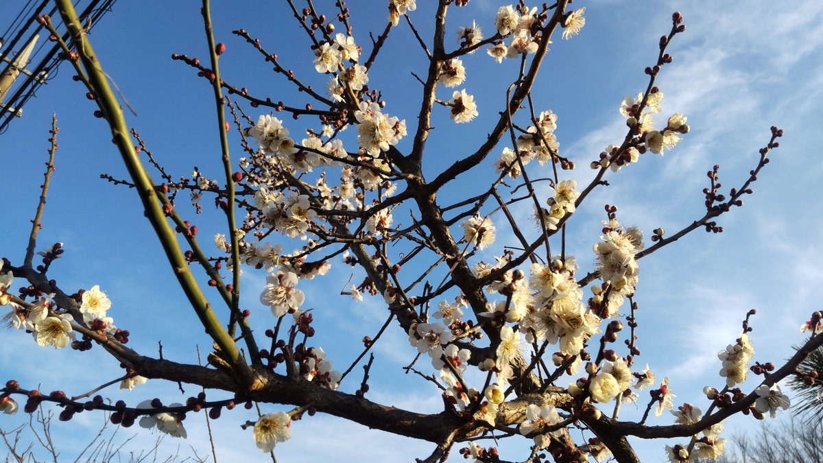 Бедный взрослый ребенок tweet media