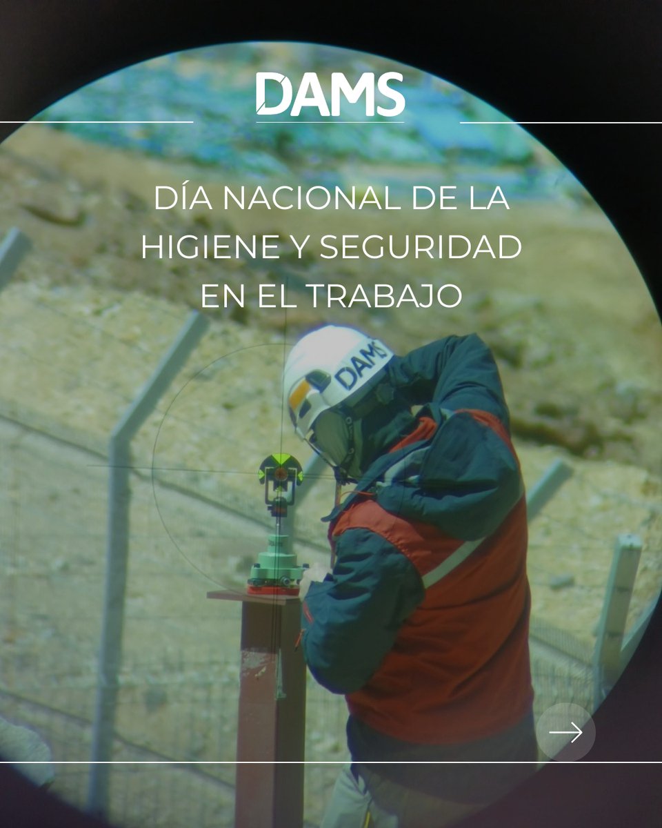 DAMS Ingeniería tweet media