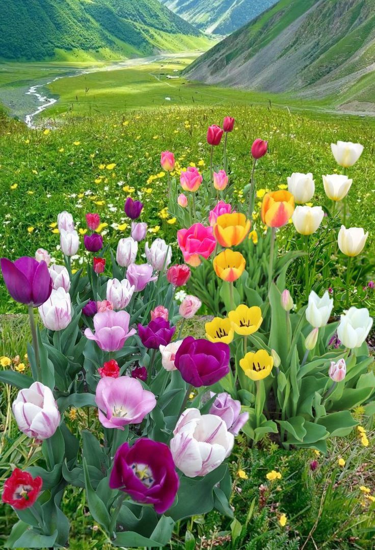 𝐌𝐮𝐬𝐤𝐚𝐧 tweet media