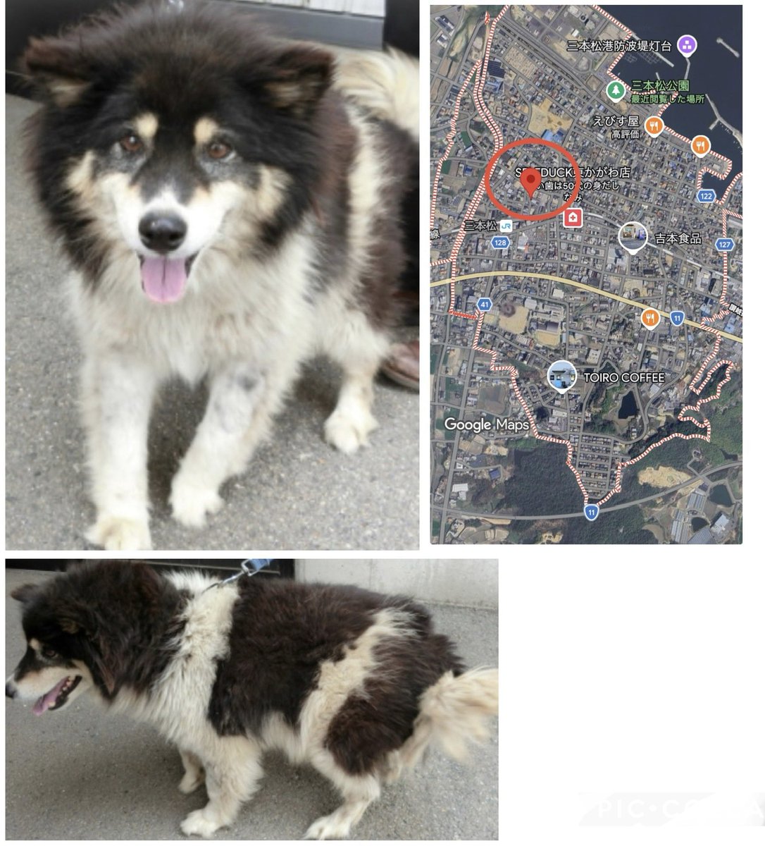 No more culling! tweet media