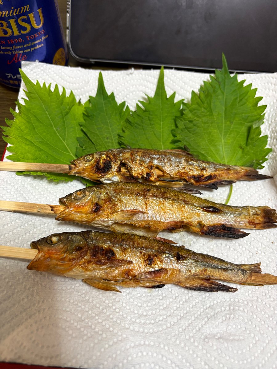 ワイルドに串焼きにしてみたぜぇ…。 