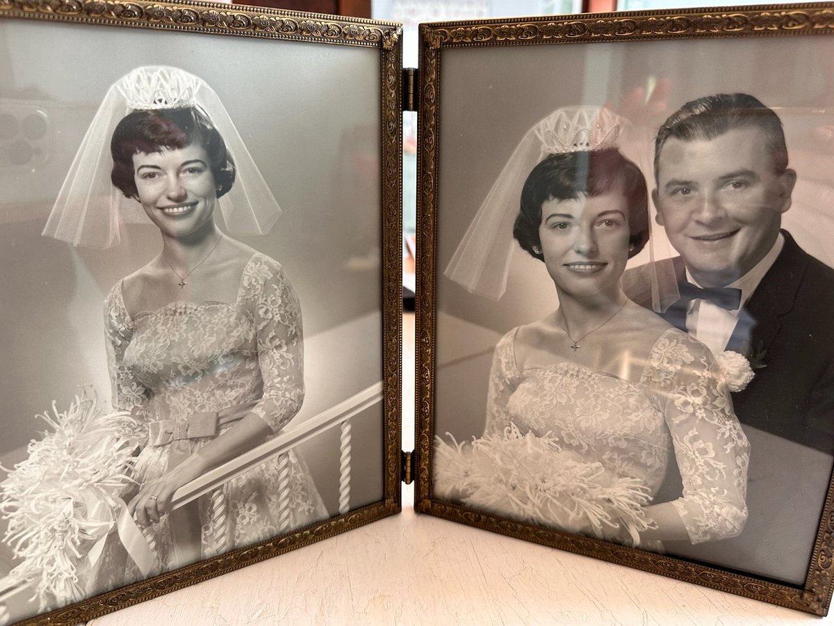 Lovey, Princess Puffy Pants ✶ ✶ ✶ ✶ 🐈 tweet media