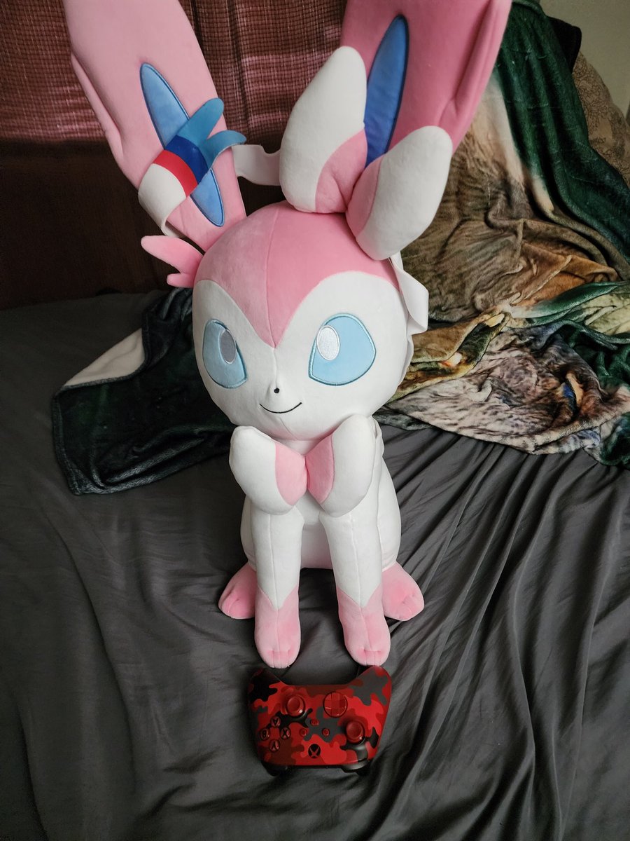 Orange Wolp 🏳️‍🌈 🇺🇸 tweet media