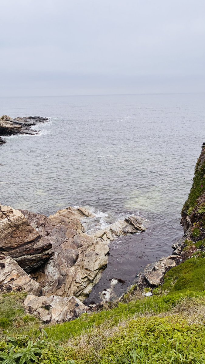 🍄Selodris 🍁 tweet media