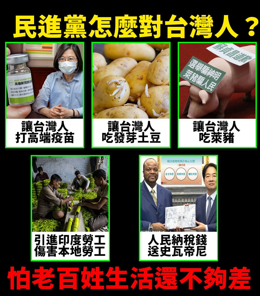 徐芳麗 tweet media