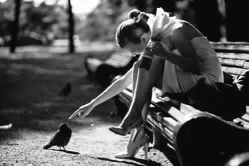 Gypsy Jane.... Waya Reign Rosalana 🥀🐺 tweet media