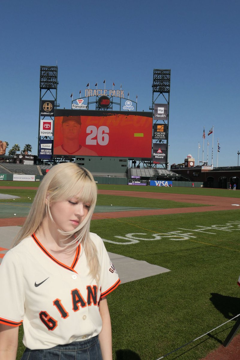 lily source tweet media