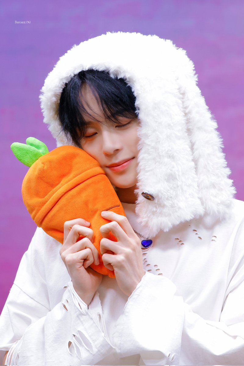 Percent (%) tweet media