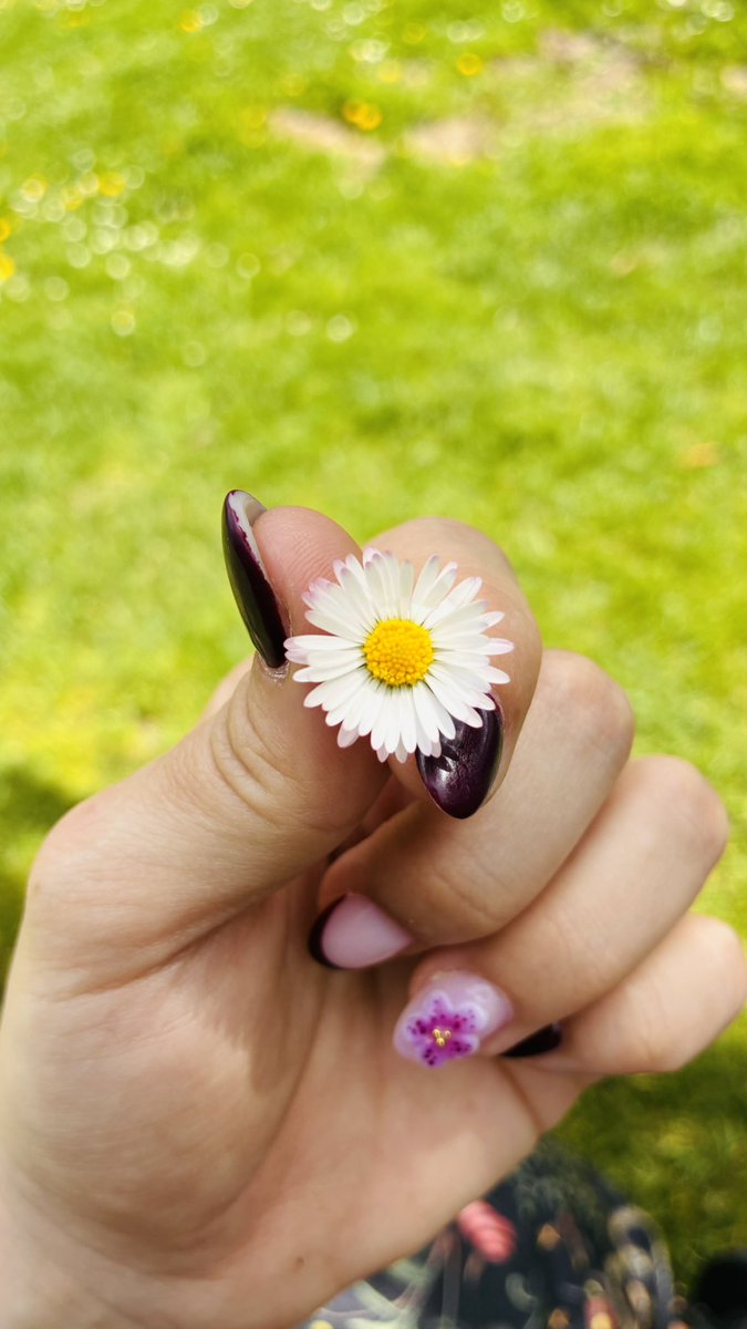 🍄Selodris 🍁 tweet media